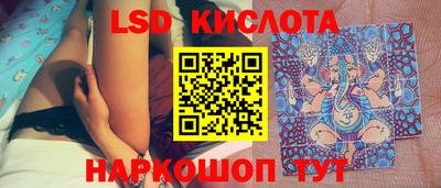 эйфоретик Кингисепп