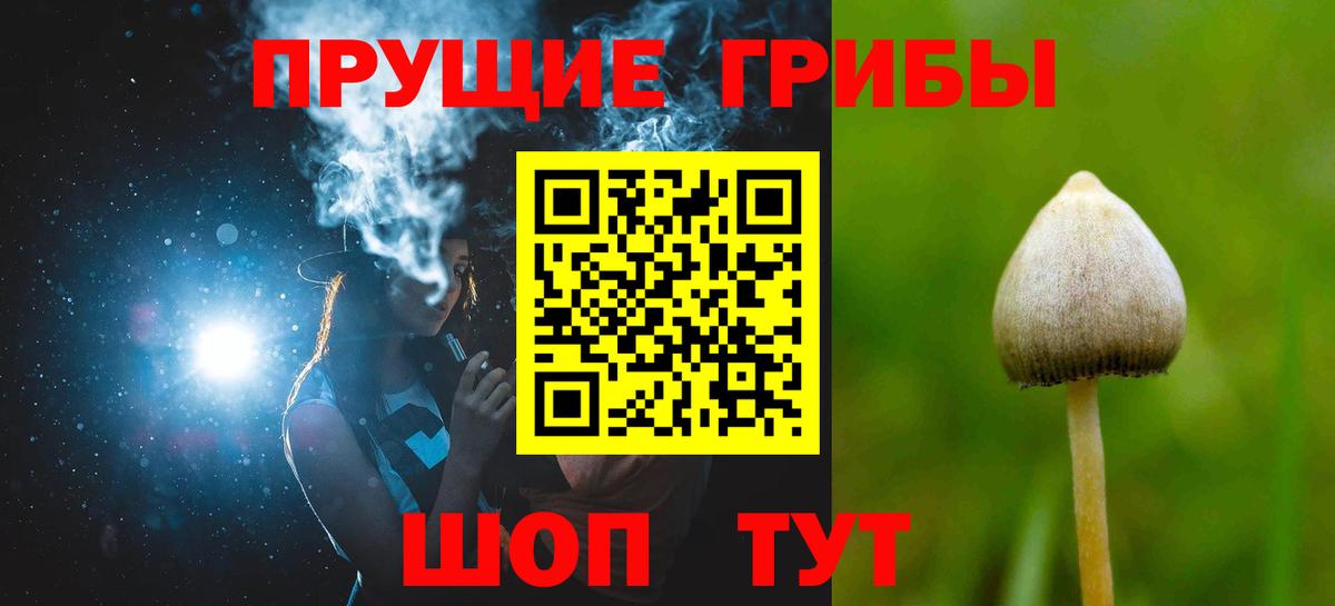 Галлюциногенные грибы прущие грибы  Псилоцибиновые грибы GOLDEN TEACHER  Щёлково  Вход с VPN 
