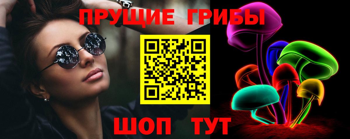 Псилоцибиновые грибы Psilocybe Щёлково